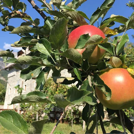 Gjecaj And Restaurant فندق مبيت وإفطار 3*