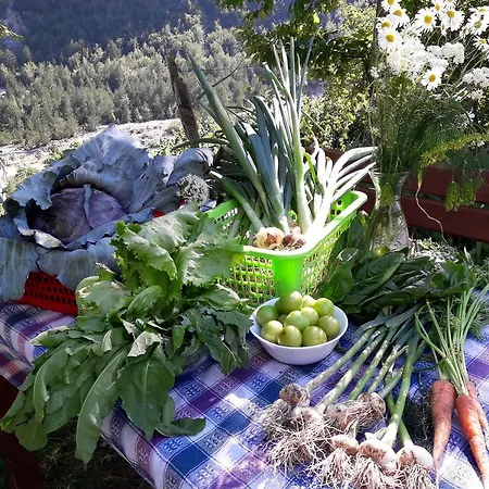 Gjecaj And Restaurant