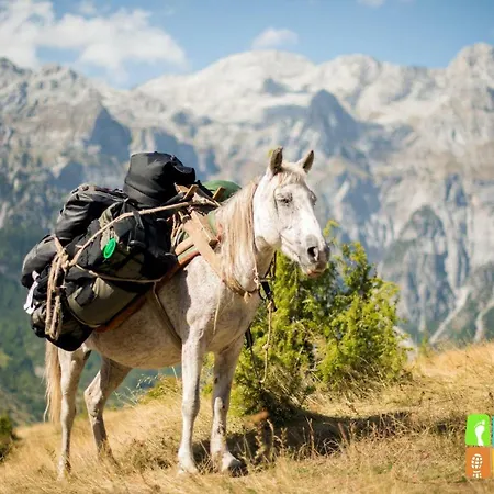 فندق مبيت وإفطار Gjecaj And Restaurant