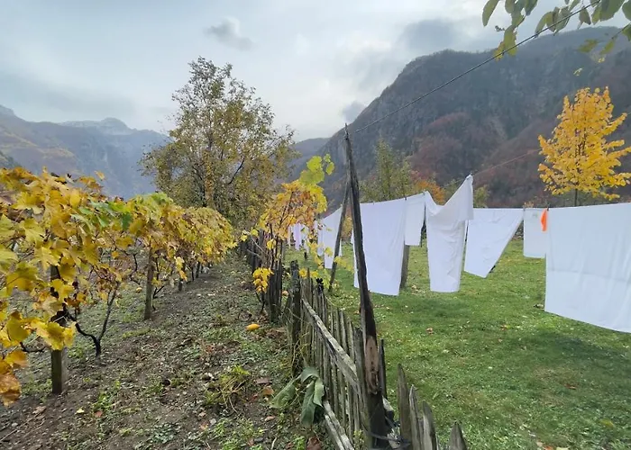 Gjecaj And Restaurant 3*