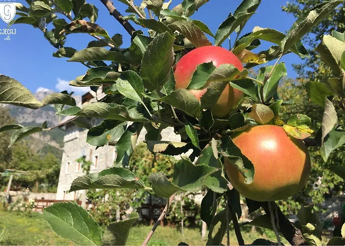 Gjecaj And Restaurant فندق مبيت وإفطار 3*