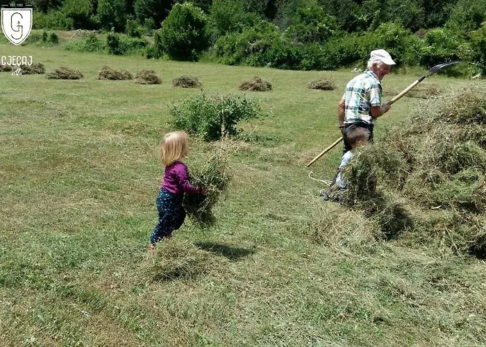 فندق مبيت وإفطار Gjecaj And Restaurant ثيث