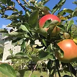 Gjecaj And Restaurant Bed & Breakfast 3*