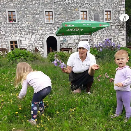 Bed & Breakfast Gjecaj And Restaurant Theth