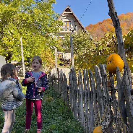 Panzió Gjecaj And Restaurant