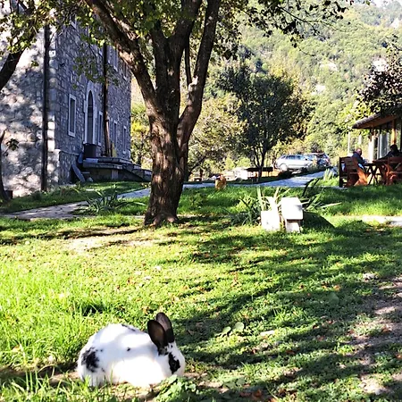 Gjeçaj Guesthouse&restaurant 3* Theth