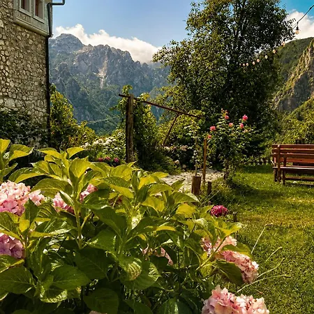 Gjecaj And Restaurant 3* Theth