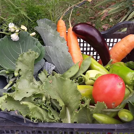 Couette-café Gjeçaj Guesthouse&restaurant 3*