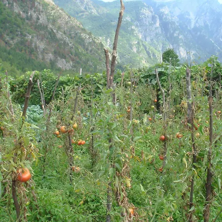 Gjecaj And Restaurant Bed & Breakfast 3*