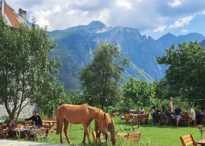 Gjecaj And Restaurant 3*